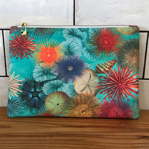 Sea Urchins Clutch