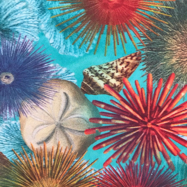 Sea Urchins Clutch